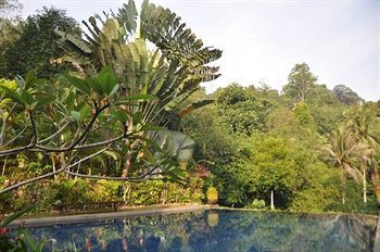 Tiger Rock Hotel Pangkor Island Bagian luar foto
